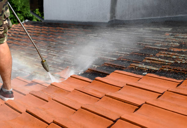 Best Affordable Pressure Washing  in Radium Springs, NM