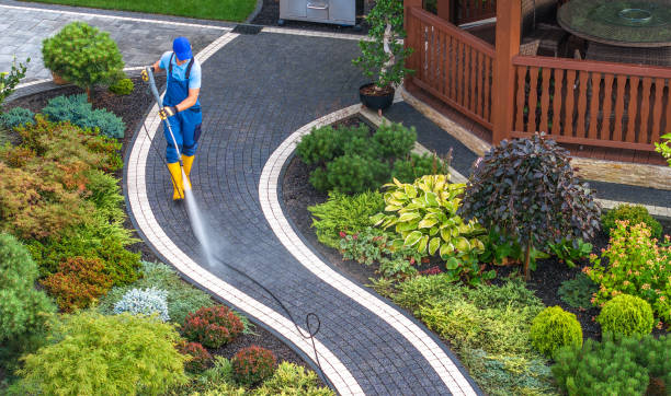 Best Roof Power Washing Services  in Radium Springs, NM